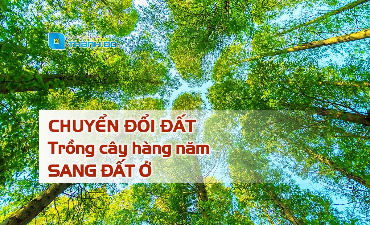 Chuyển đổi đất trồng cây hàng năm sang đất ở