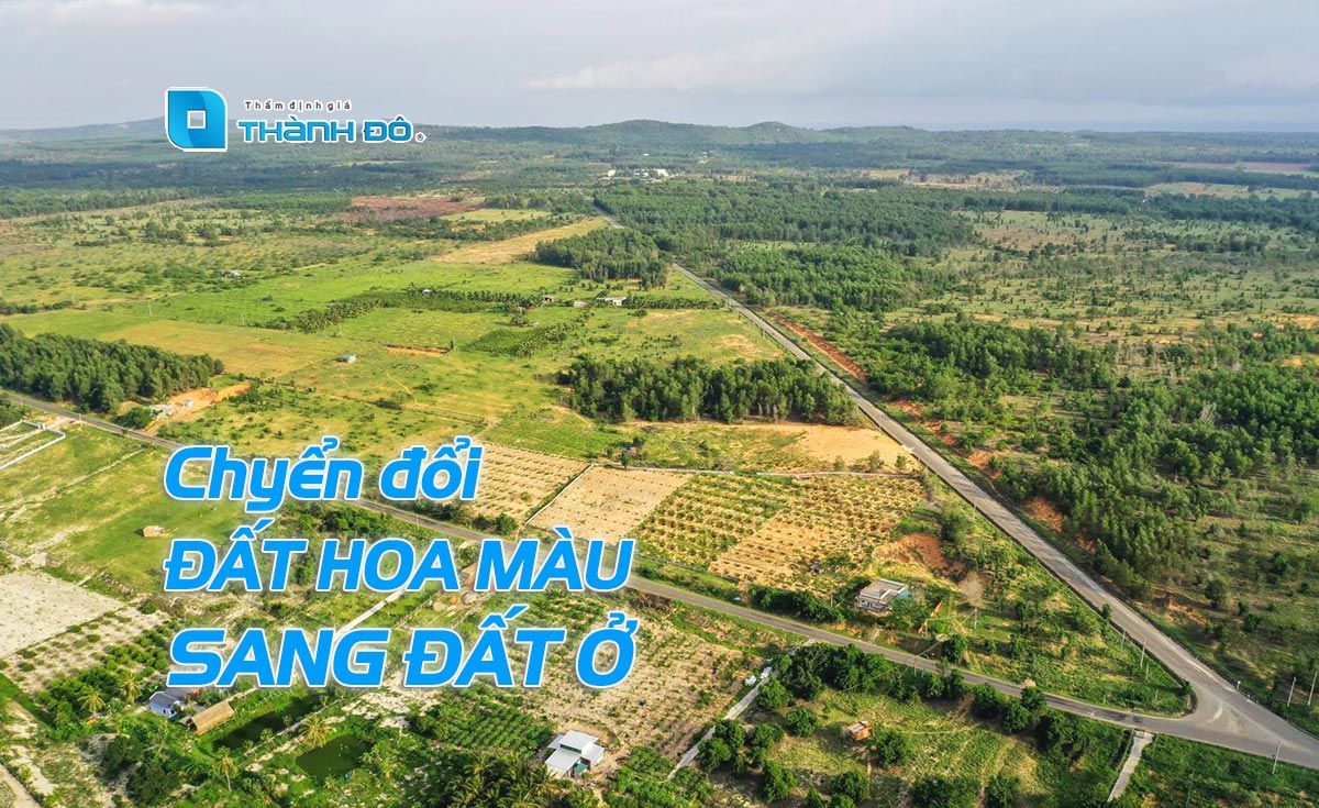 Chuyển đổi đất hoa màu sang đất ở