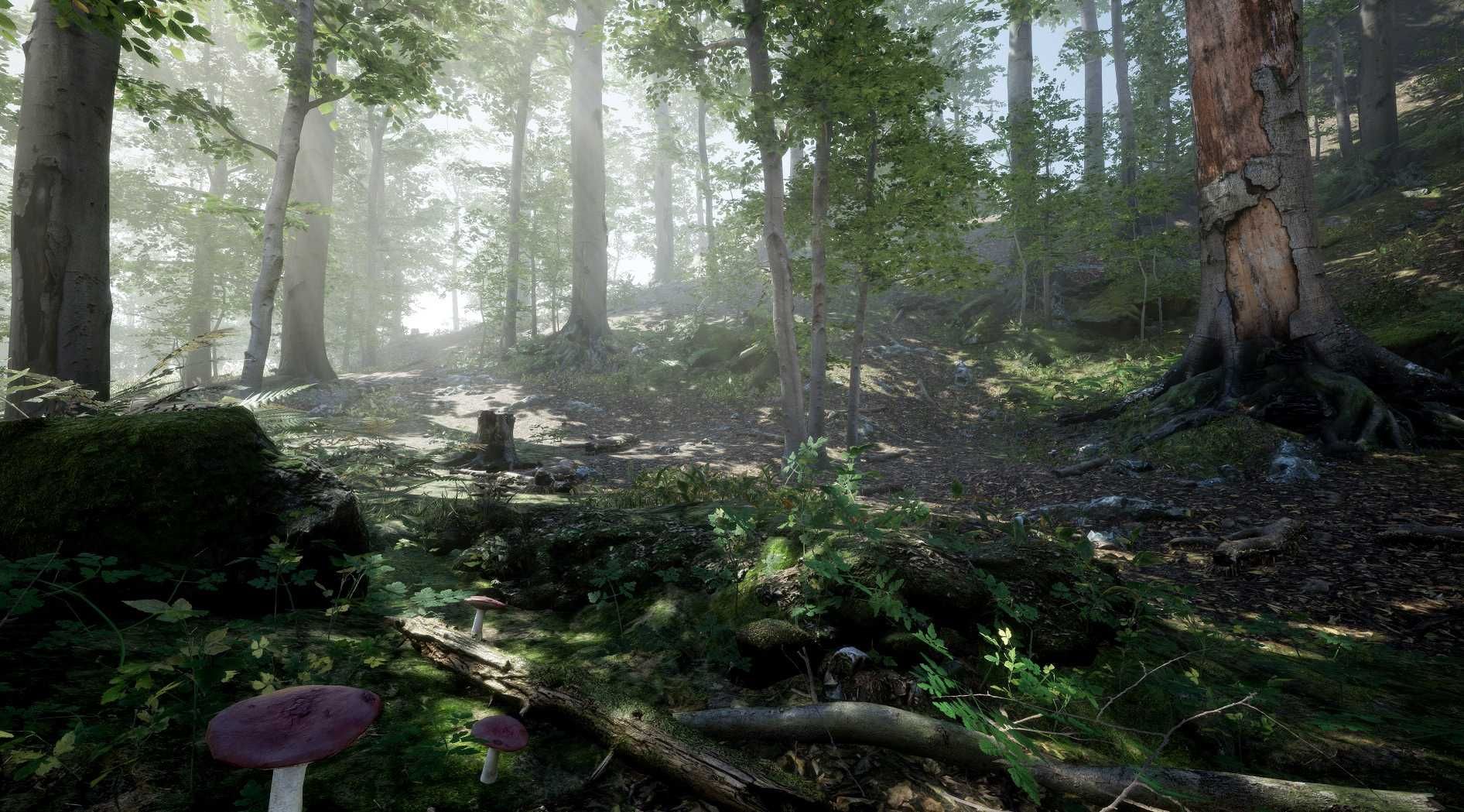 Định giá môi trường rừng