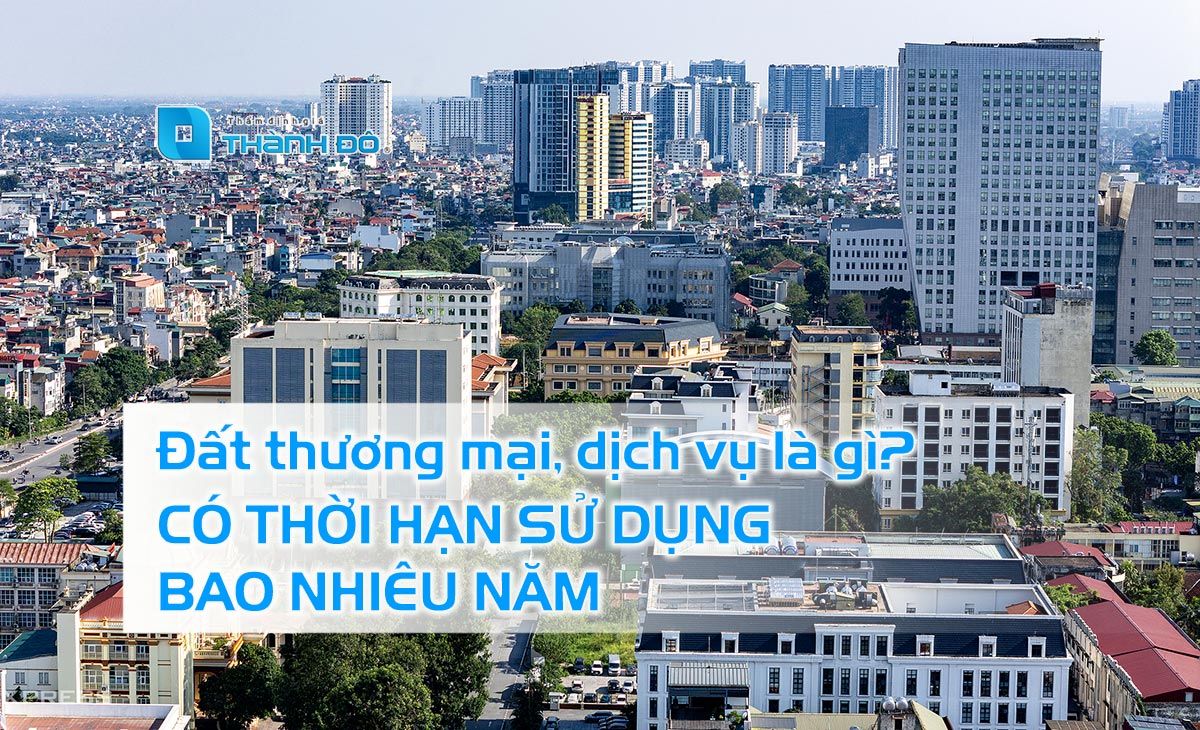 Đất thương mại dịch vụ là gì