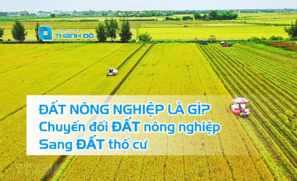 chuyển đổi đất nông nghiệp sang thổ cư