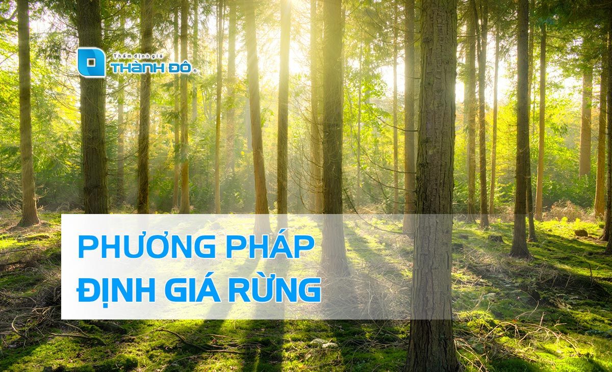 Phương pháp định giá rừng