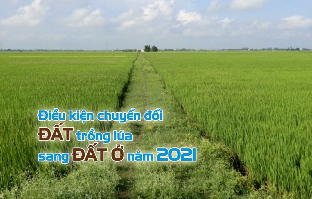 Chuyển đổi đất trồng lúa sang đất ở