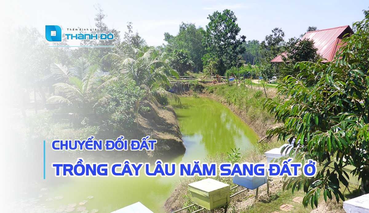 chuyển đổi đất trồng cây lâu năm