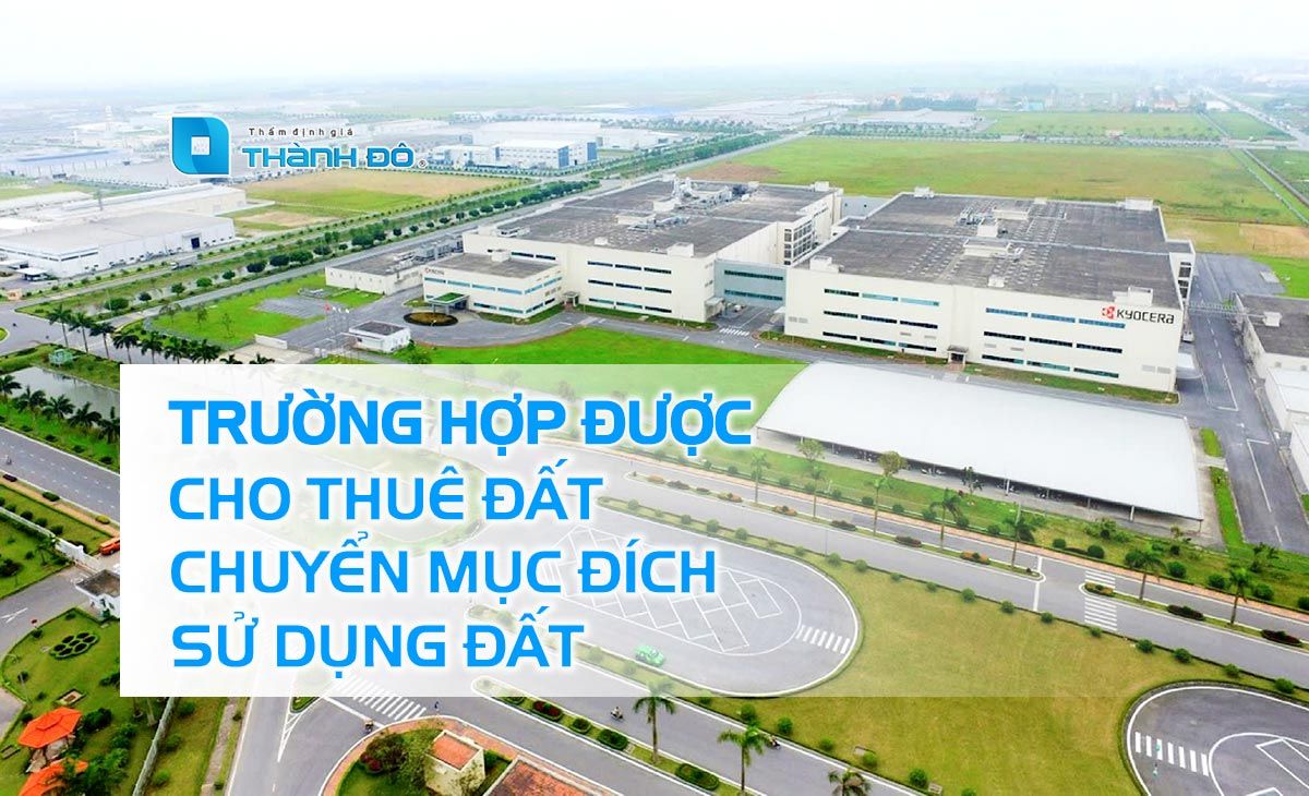 Trường hợp cho thuê đất