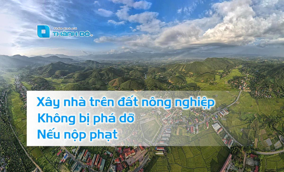 Xây nhà trên đất nông nghiệp