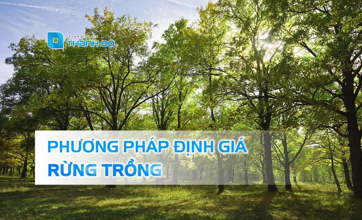 Phương pháp định giá rừng trồng