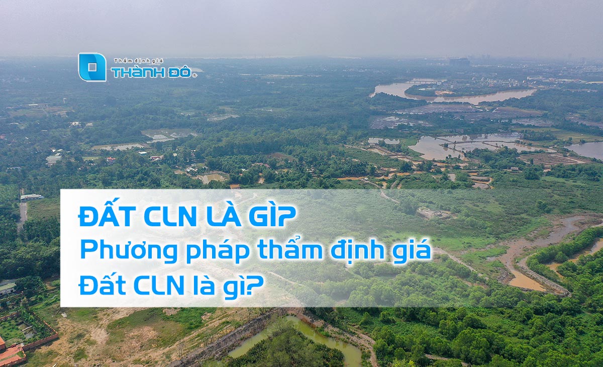 Thẩm định giá đất CLN