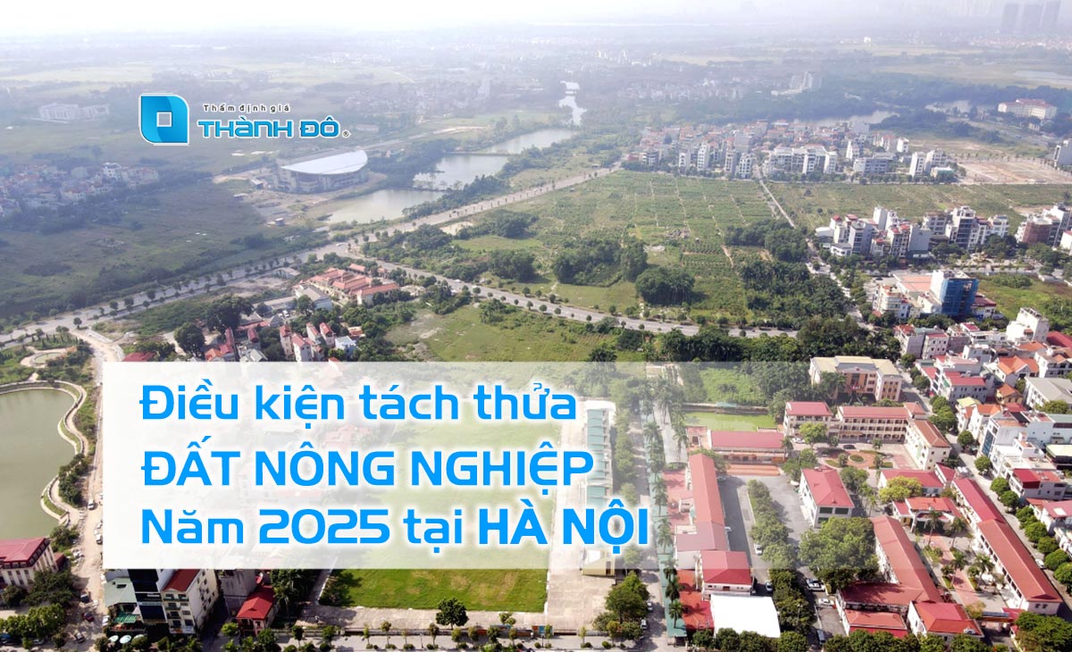 Điều kiện tách thửa đất nông nghiệp 2025